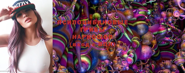 apvp Новокубанск