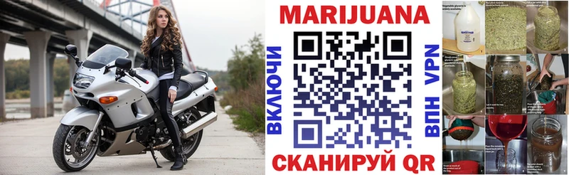 магазин  наркотиков  Озёрск  Бошки марихуана семена 